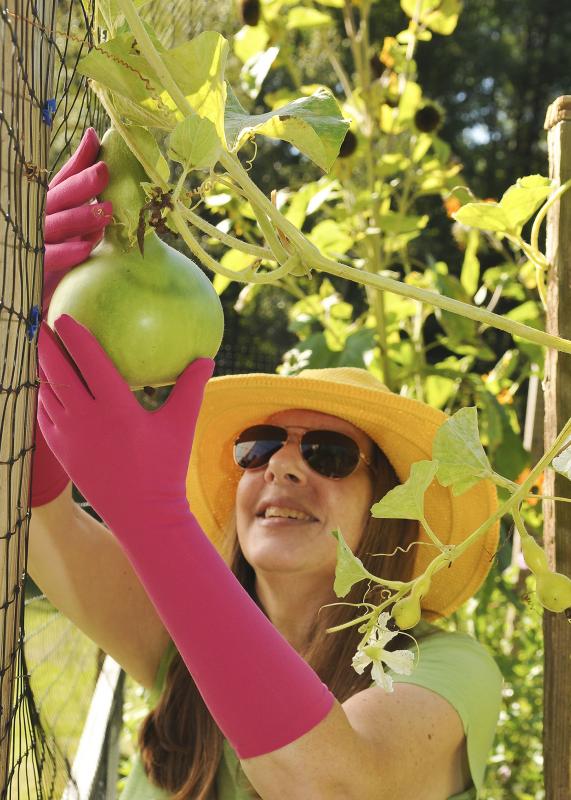 Garden your way to better health | Cape Gazette